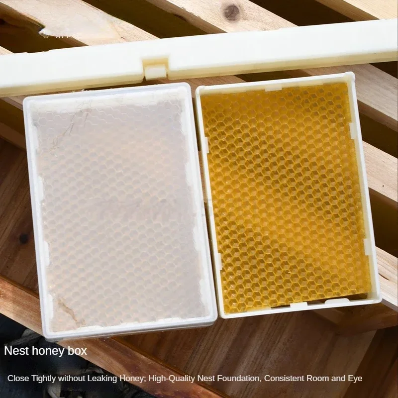 Picture 4: 1 Plastic Frame with 6 Clear Transparent Cassette Boxes Complete Combhoney Cassette Kit for Clear Comb Honey Storage