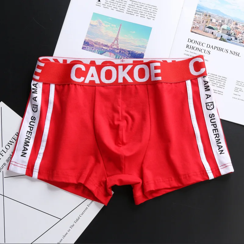 Men Underwear Boxer Elasticity Solid Shorts Brand Shorts Panties Underpants Men Cotton Breathable Shorts Men M-2XL 2023 Fashion