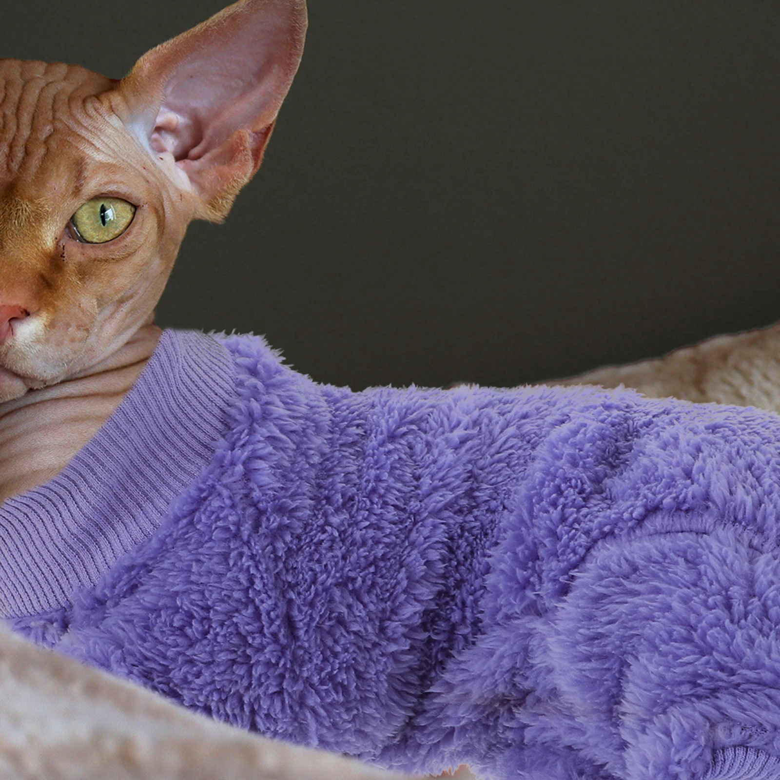 

Double-sided Fleece Cat Clothing Clothes Indoor for Pet Outfits Cats Suit Sphynx Sweaters Windproof