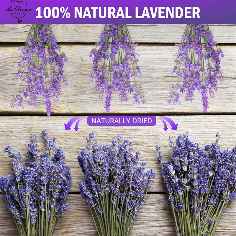 Natural Dried Flower Preserved Lavender Wedding Decoration Home Fragrance Handmade Soap Flowers Boho Home Decor Holiday Gifts