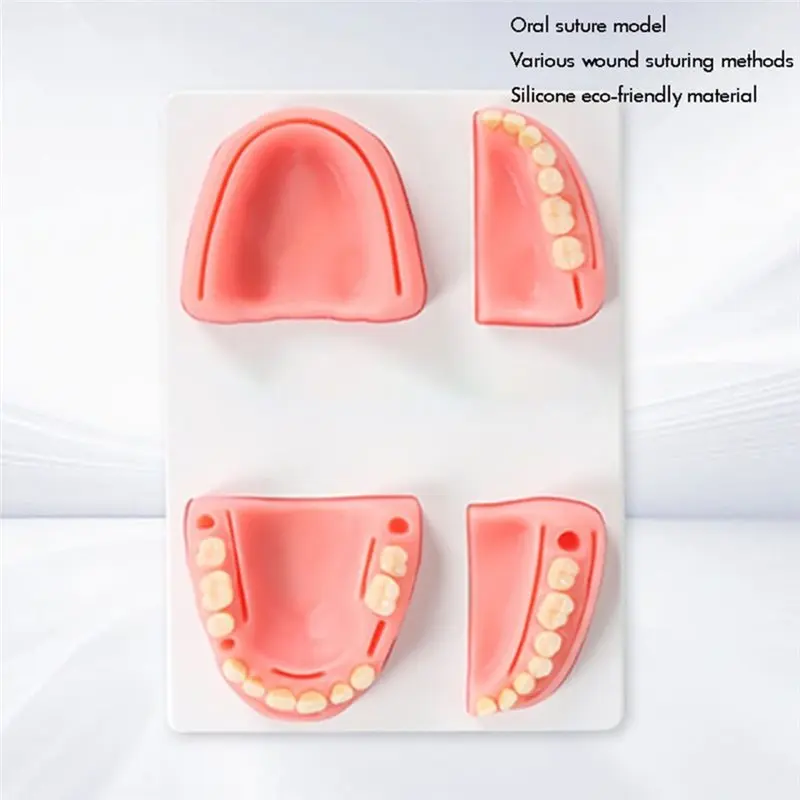 Teeth Model Suture Pad Practice Mold Soft Module Oral Training Demonstration Equipment Skill Teaching