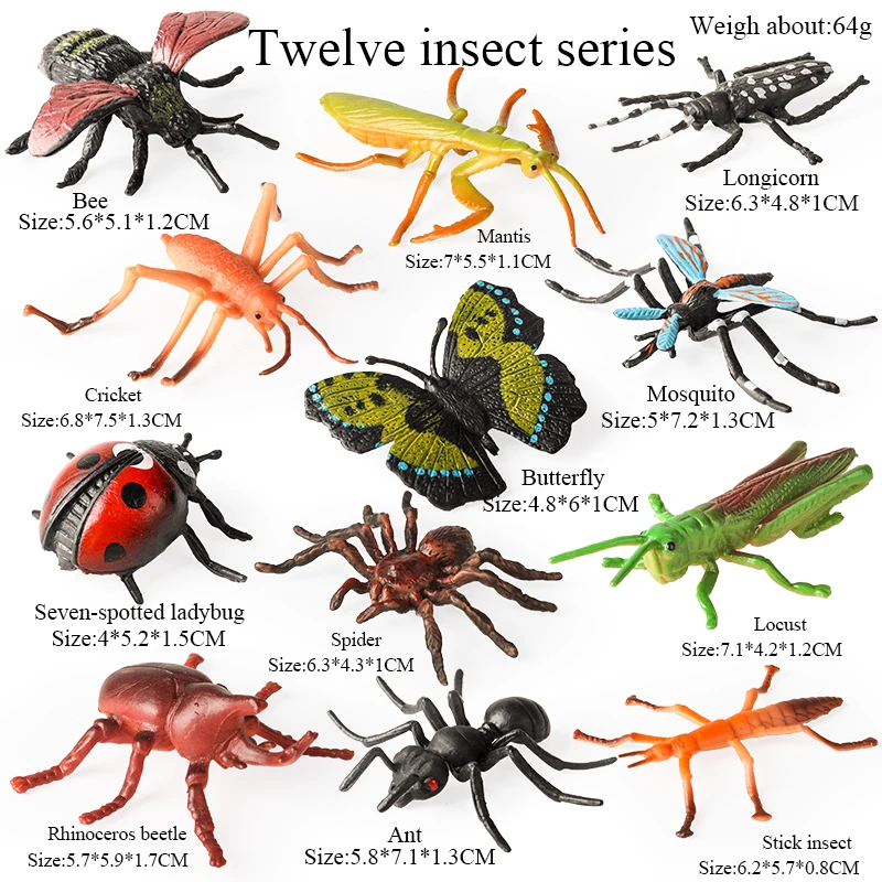 Oenux Insekt Tiere Modell Set Schmetterling Libelle Biene Käfer Spinne Skorpion Mantis Zikade Eidechse Garten Miniatur Kind Spielzeug Geschenk – Detail 9