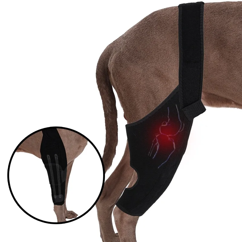 

Dog leg support of pet Knee Support Protector Leg Recovery Sleeve Reduces Joint Pain Dog Knee Brace