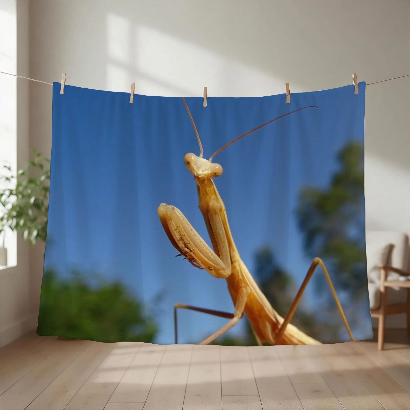Praying mantis Throw Blanket christmas gifts for sofa heavy to sleep Bed covers Blankets