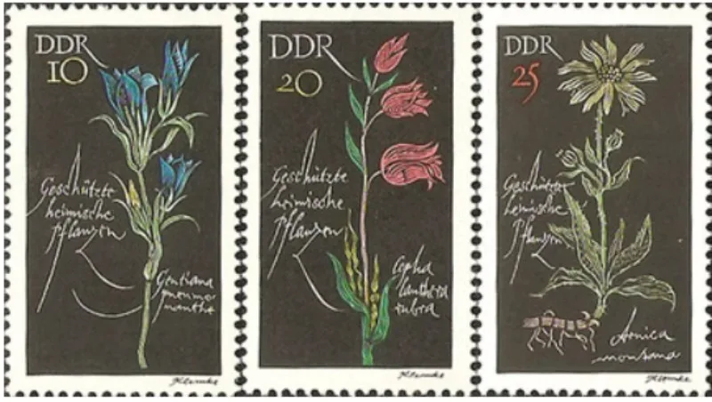 3 Pcs, Ddr, 1966, F…