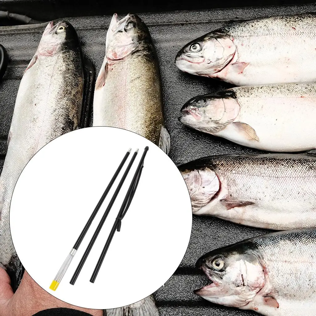 Thumbnail 3 - #30 Compare Fishing Gaffs Before You Buy