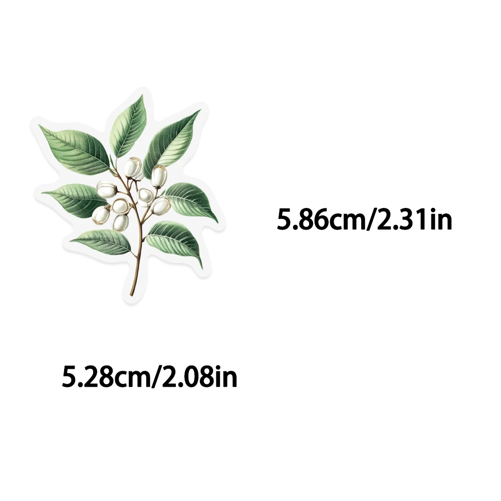 50PCS Colorful Flowers Green Plant Leaves Fruit PET Sticker Transparent Waterproof Oil proof Material Personalized Decal