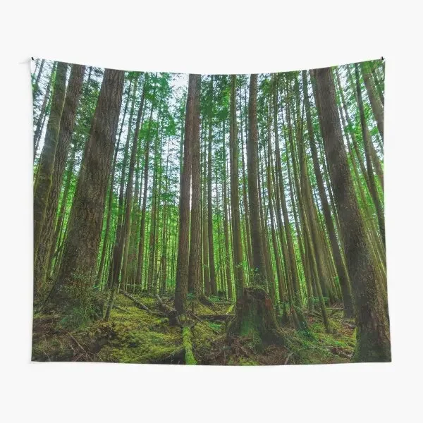 Endor  Tapestry Travel Bedroom Home Towel Art Colored Yoga Beautiful Decor Wall Blanket Hanging Mat Bedspread Living Room