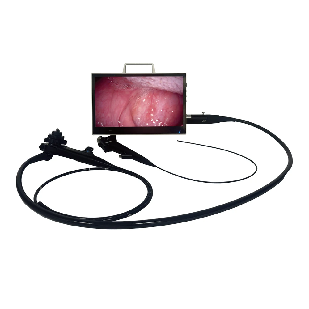 Medical Video Colonoscope Endoscope System USB Colonoscopy Built-in LED Light Source Electric Power Source for vet