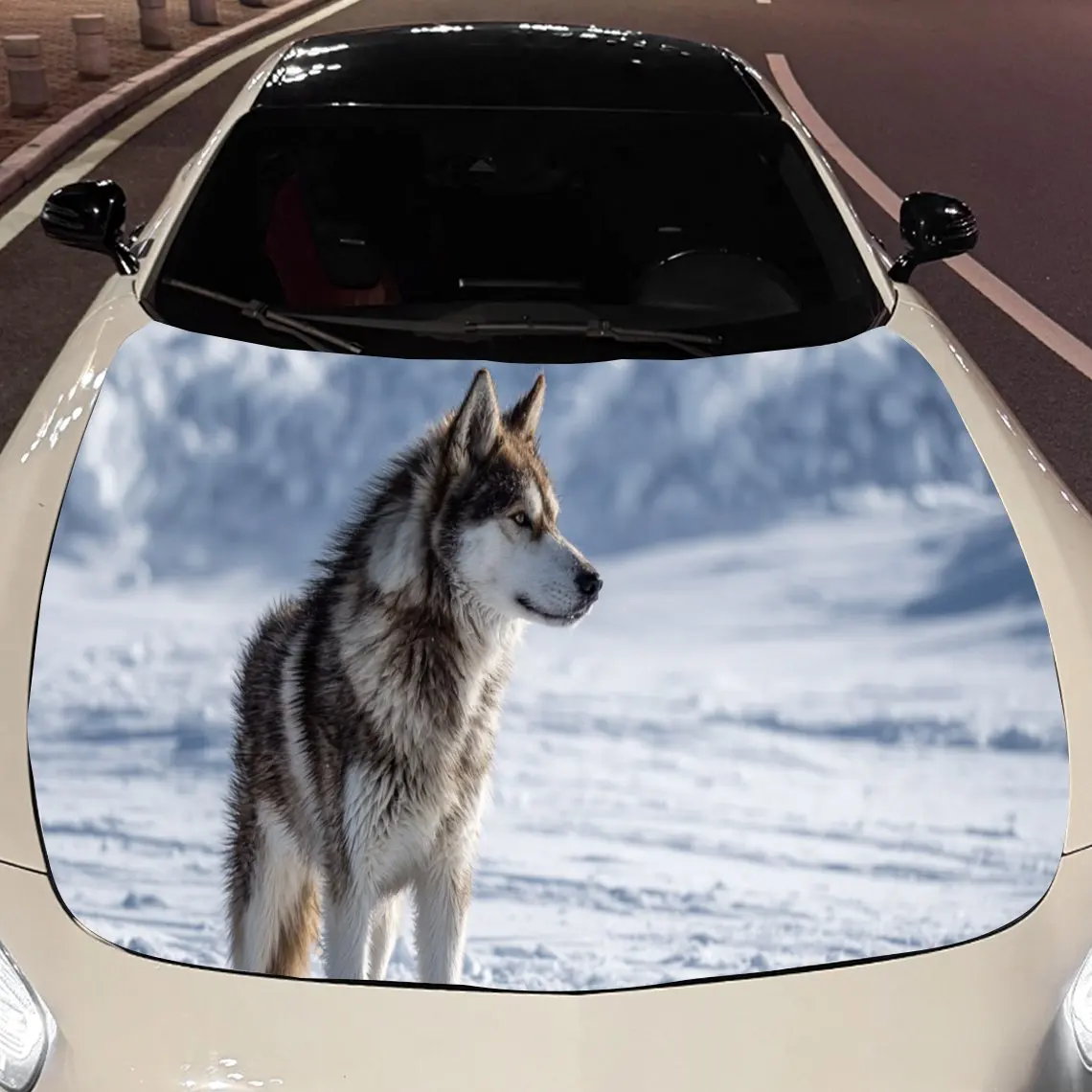 Car Decals Alert Wolf in Snow - Clad Terrain Car Hood Sticker, Waterproof Self - Adhesive Vinyl Graphics Decals, Decorative Prot