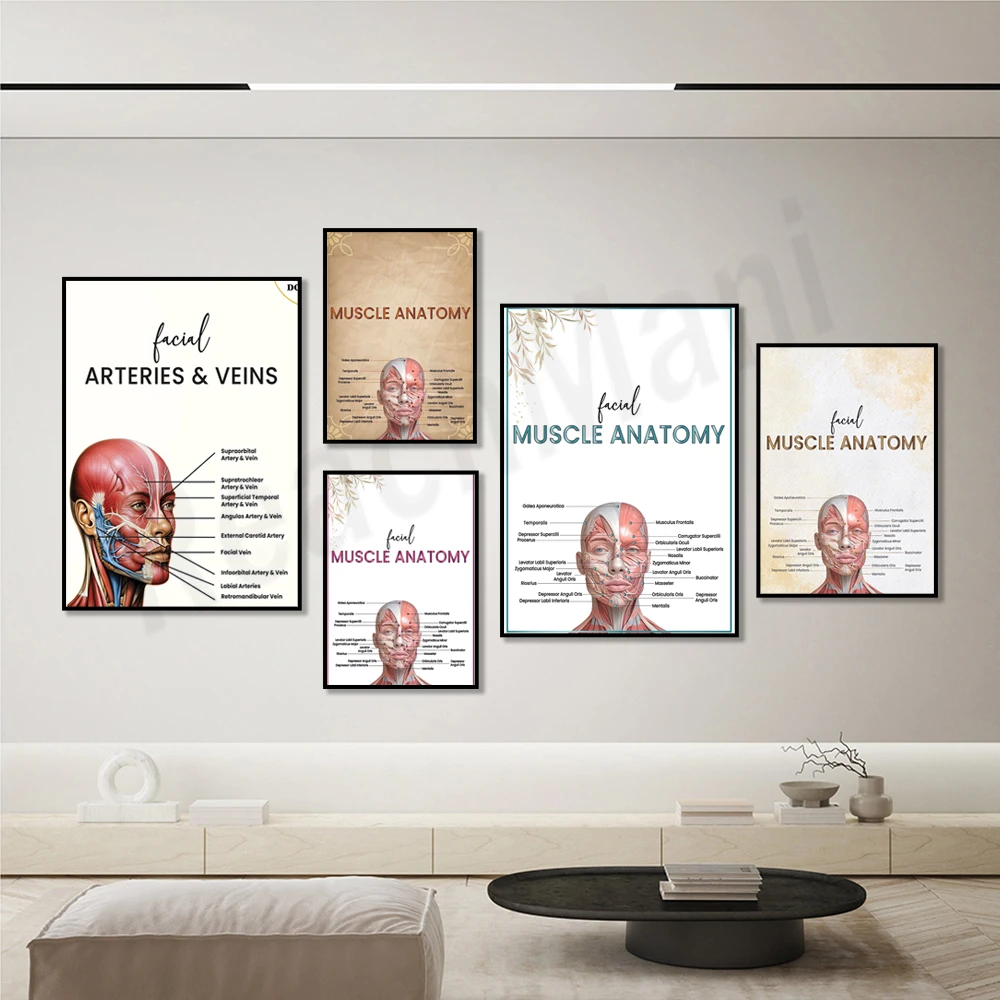 facial muscle anatomy, vein art, facial muscle art, syringe facial arteries, face art, facial anatomy diagram, printable poster,