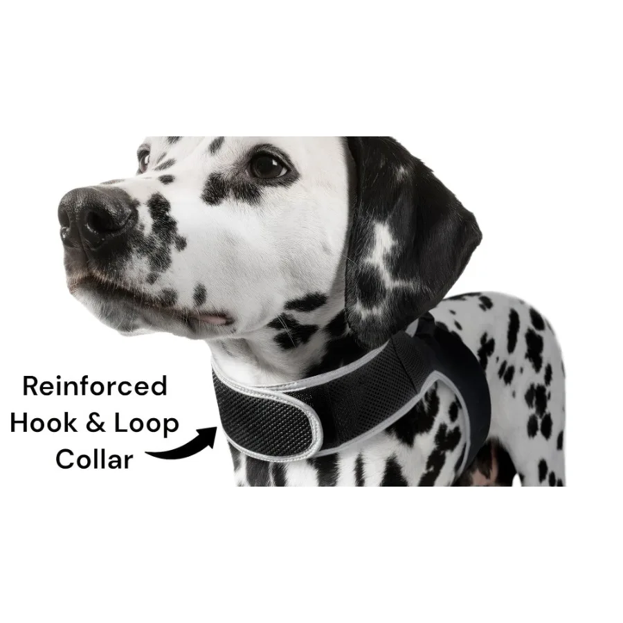 

Portable GSM GPS Puppy Tracking Collar Waterproof Rechargeable Tracker Size:M