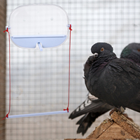 Transparent Bird Feeder with Suction Cups for Cage Small Birds Parrots Clear View Feeding Station Accessories White Kit