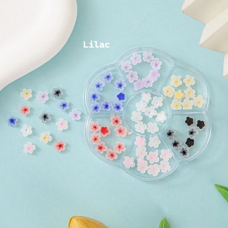 Roses séchées pour Nail Art, 30 pièces, accessoires en résine, Roses rouges, fleurs de Frangipanier colorées, feuilles de couleurs mélangées, camélia, décorations pour ongles