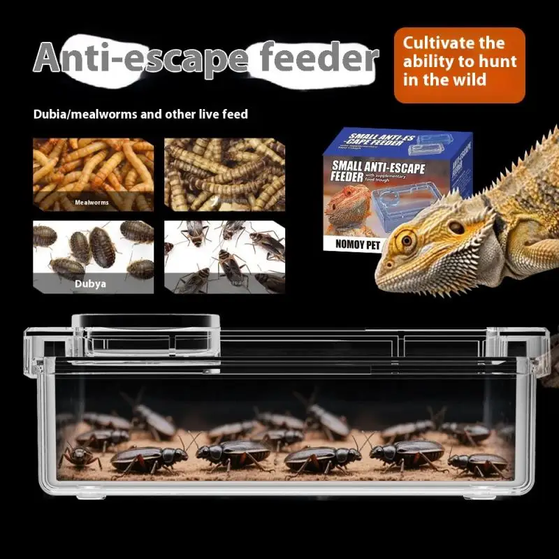 【E】Pet Reptile Lizard Turtle Transparent Feeder Anti-Flucht-Futternapf Wurm Live Container Reptile Pet Bowls Feeder Pet Supplies – Detail 4
