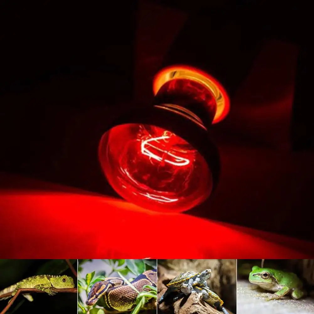 Lampada riscaldante rossa per animali domestici E27 giorno notte per lampada serpente anfibio lampadina termica per rettili luce UV