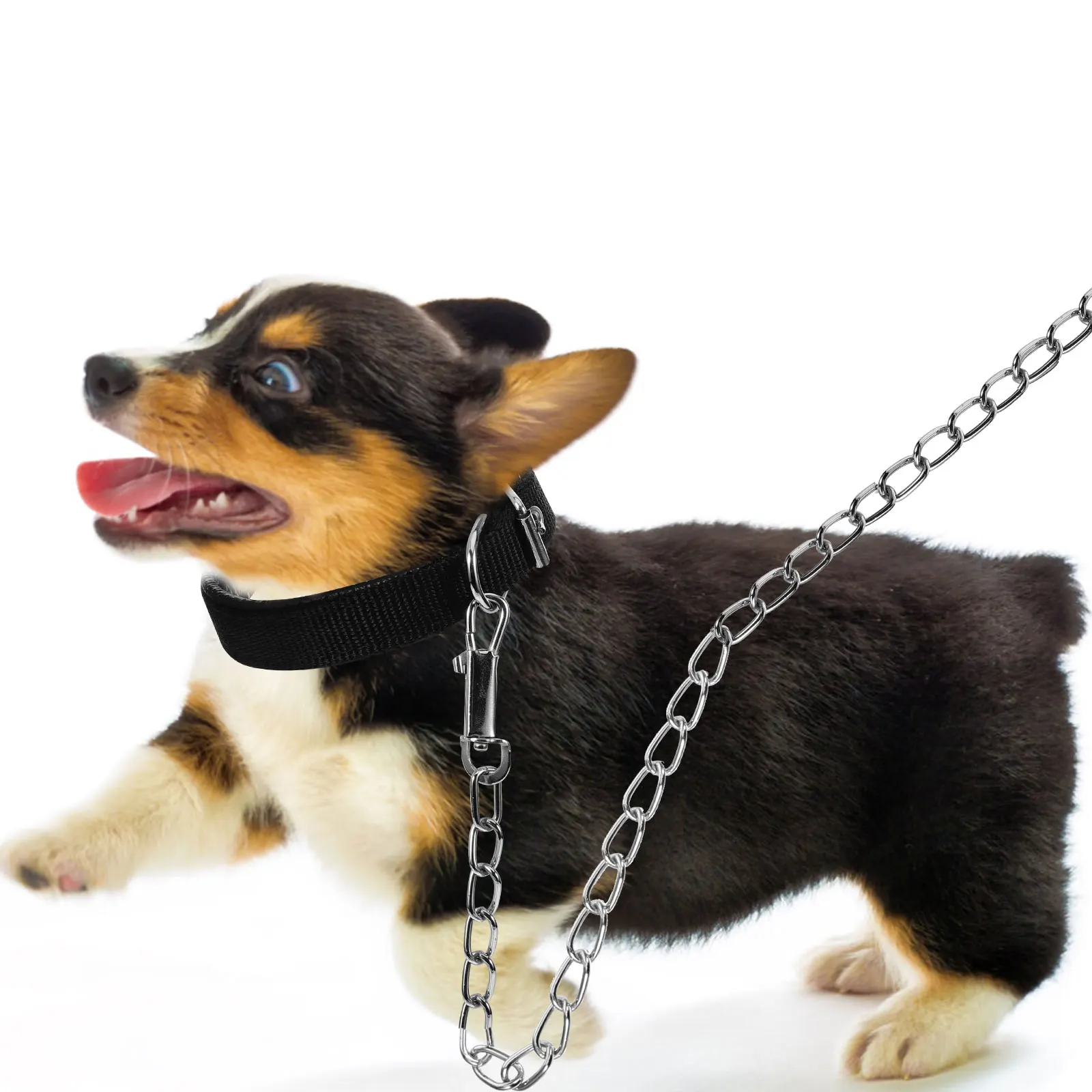 

Iron Chain Pet Collar For Dogs Cats Soft Foam Comfortable Adjustable Pet Supplies Walking Outdoor Companion 2pcs Set