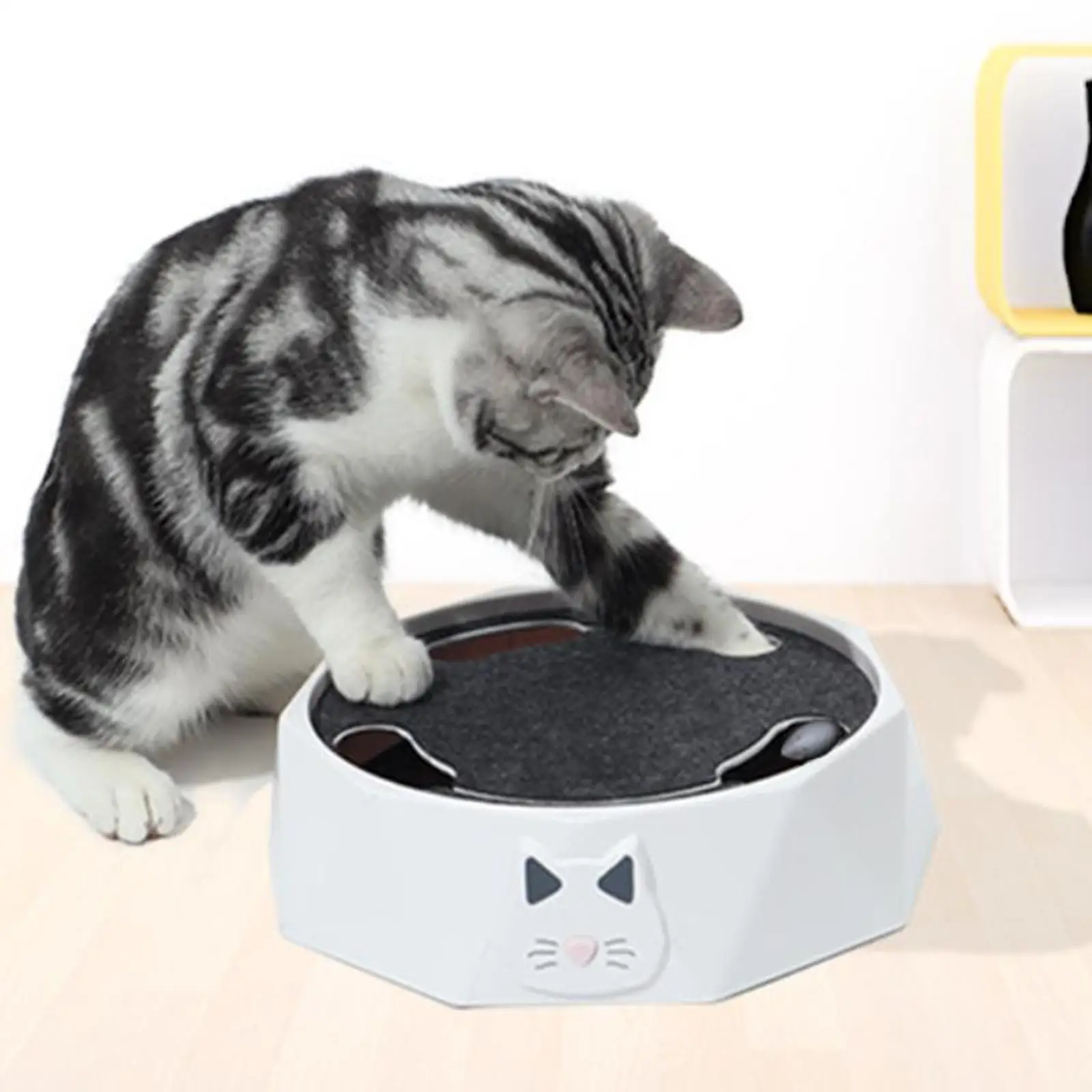 Interactive Cat Toy Portable Pet Supplies for Farmhouse Living Room Home