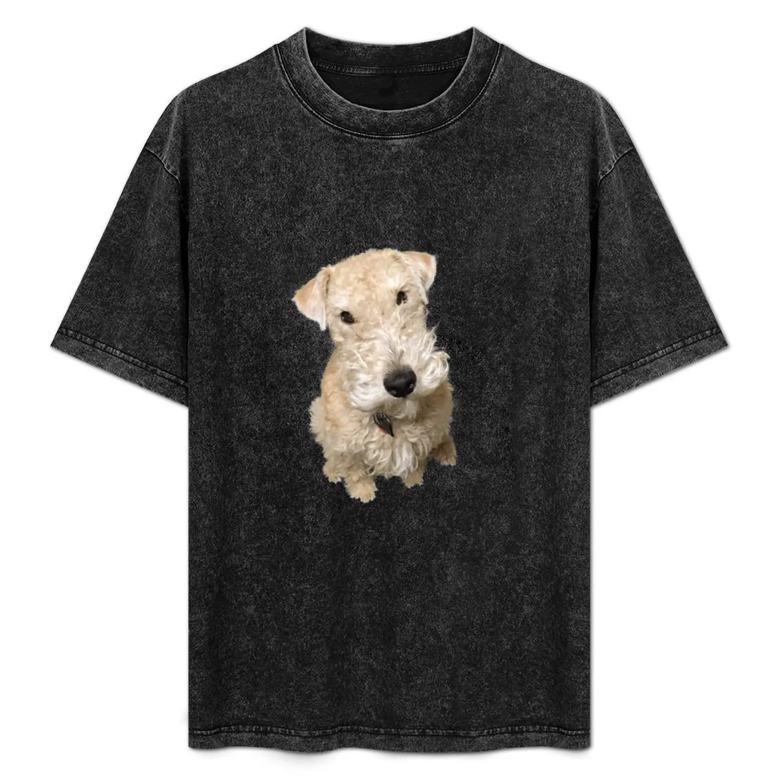 

Футболка Peekay the Lakeland Terrier, мягкая хлопковая футболка Basic Cotton T-Shirt