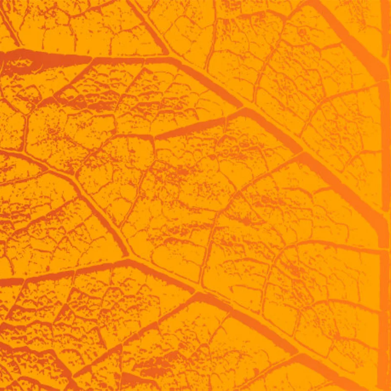 

Electric Motor Gearbox Cover for Hyper GO MJX 1/7 7303 7304 RC Car Metal Upgrade OP Accessories Parts