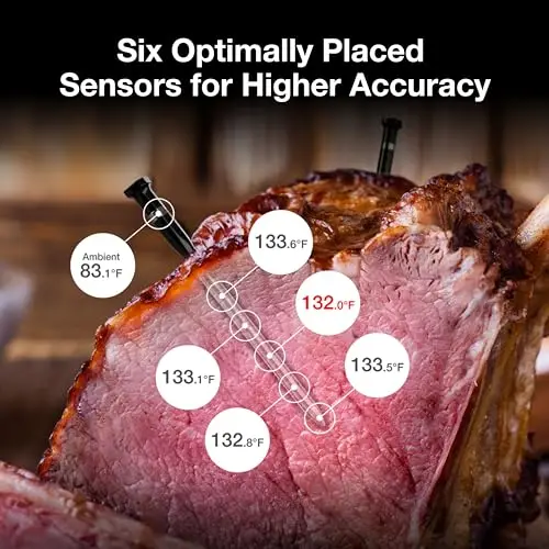 Certified Standalone Bluetooth Smart Meat Thermometer 6 Sensors 2 Probes Unlimited WiFi Range Digital BBQ Grill Thermometer