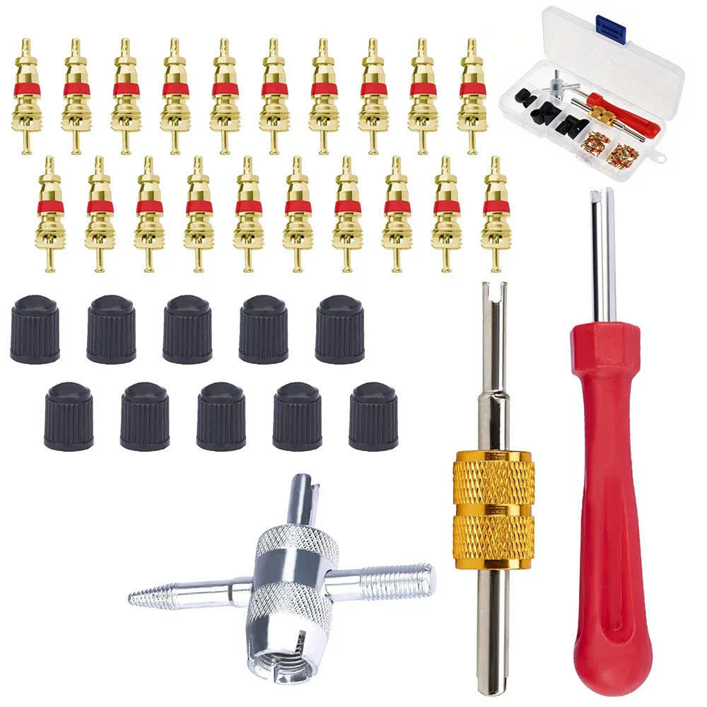 33Pcs Tire Valve Repair Kit, Valve Stem & Schrader Valve Core Removal Tool with 20 Valve Cores,10 Caps,4-Way Valve Tool