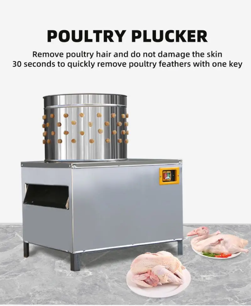 ISO Approved Pigeons Chicken Slaughter Machine With Great Price Chicken Plucker for 4 Chickens Slaughtering Equipment Poultry