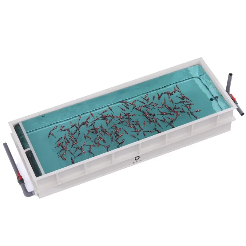 Hot salt non-toxic PP large square fish tank nursery, for shrimp planting equipment