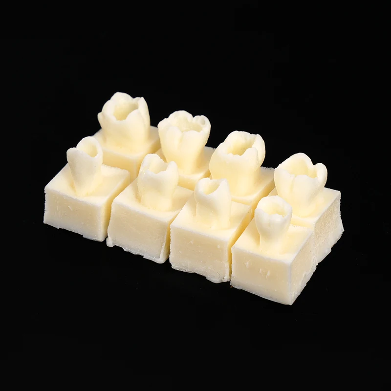 8Pcs Dental Resin Filling Practice Model Teaching Posterior Teeth Cavity Hole Restoration Student Training Studying Model