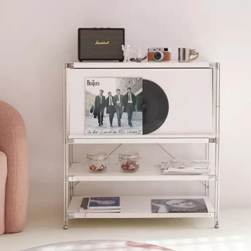Magazine Stainless Steel Living Room Cabinet Storage Chest of Drawers Display Home Furniture Showcase Crack Shelves 수납장 캐비넷