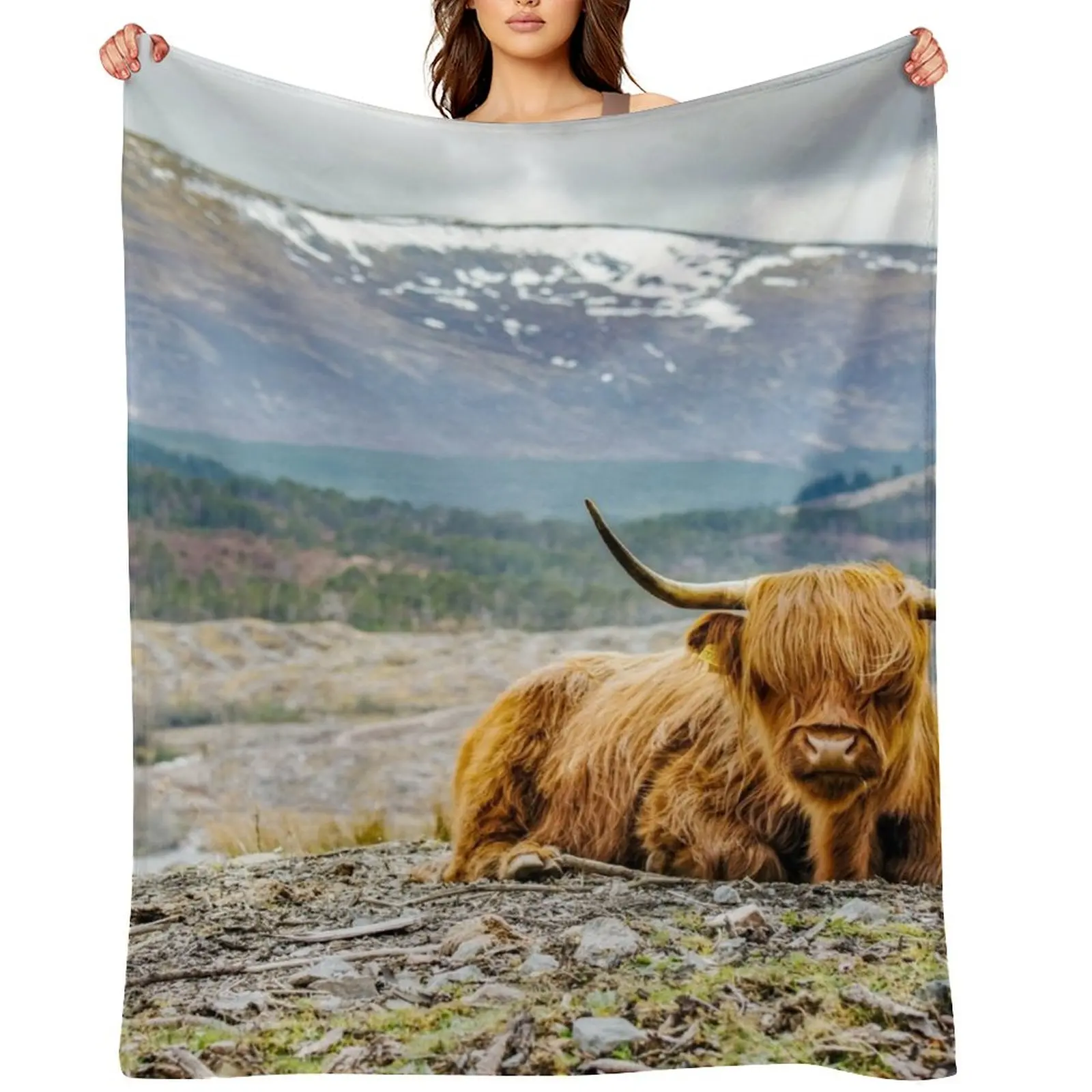 

Hairy Higland Cow - A cute and gift for a Scotland lover Throw Blanket Hair Furrys Warm decorative Blankets
