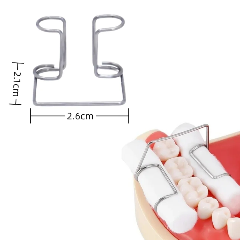 4Pcs/Box Dental Cotton Roll Clip, Stainless Steel Orthodontic Cliper, Cotton Roll Holder, Autoclavable & Sterilizable