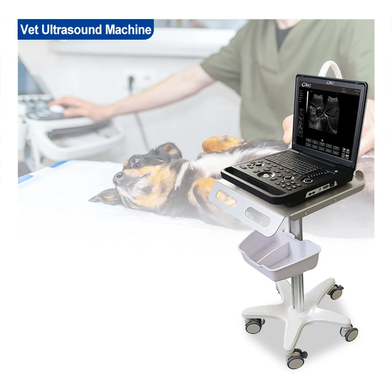 High-Performance Veterinary Ultrasound Equipment for Animal Health Care and Diagnostic Imaging in Veterinary Practices