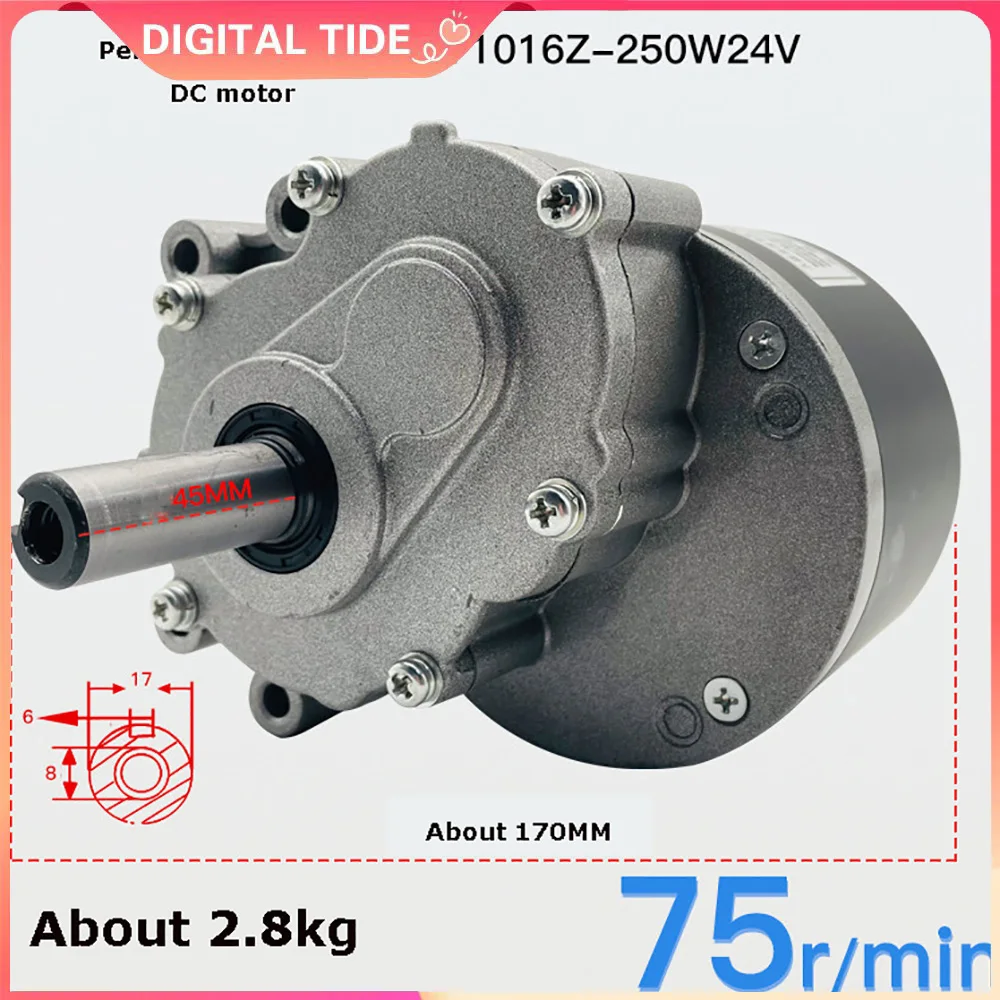 Permanent Magnet Brushed DC Motor, 1016Z 250W 24V 75Rpm 44mm Shaft, 17Mm Shaft Diameter , Used for Wheel Chair