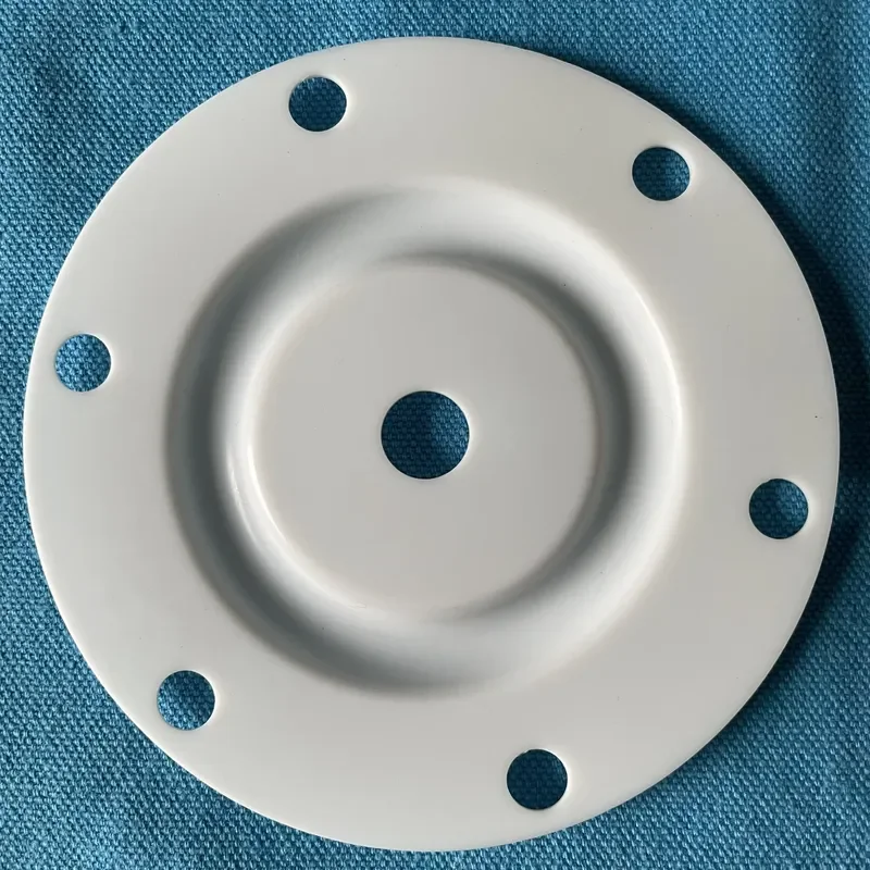 PTFE Diaphragm Use for LEWA Pump LEWA Diaphragm Factory Supplier High Quality Customized