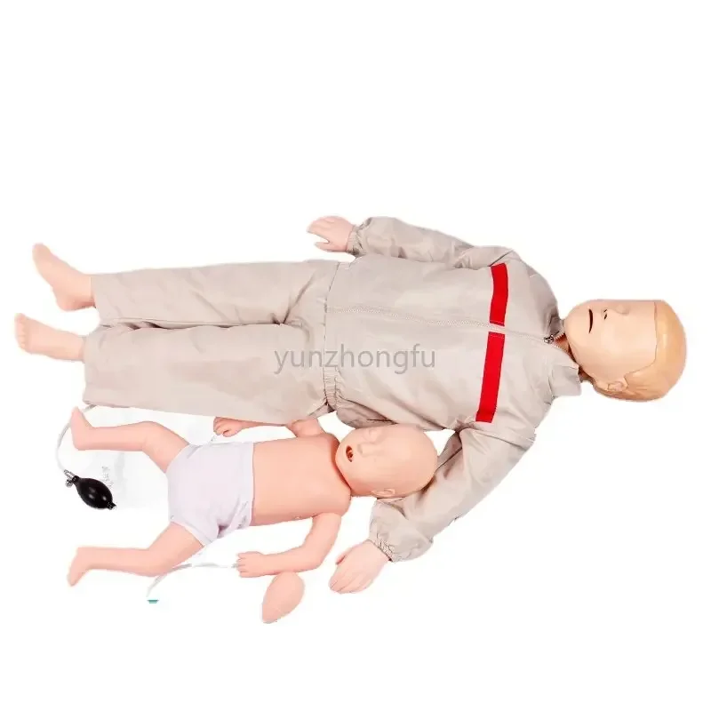 

Advanced Neonatal and Child Cardiopulmonary Resuscitation Simulation of Human Infant Infarction Airways