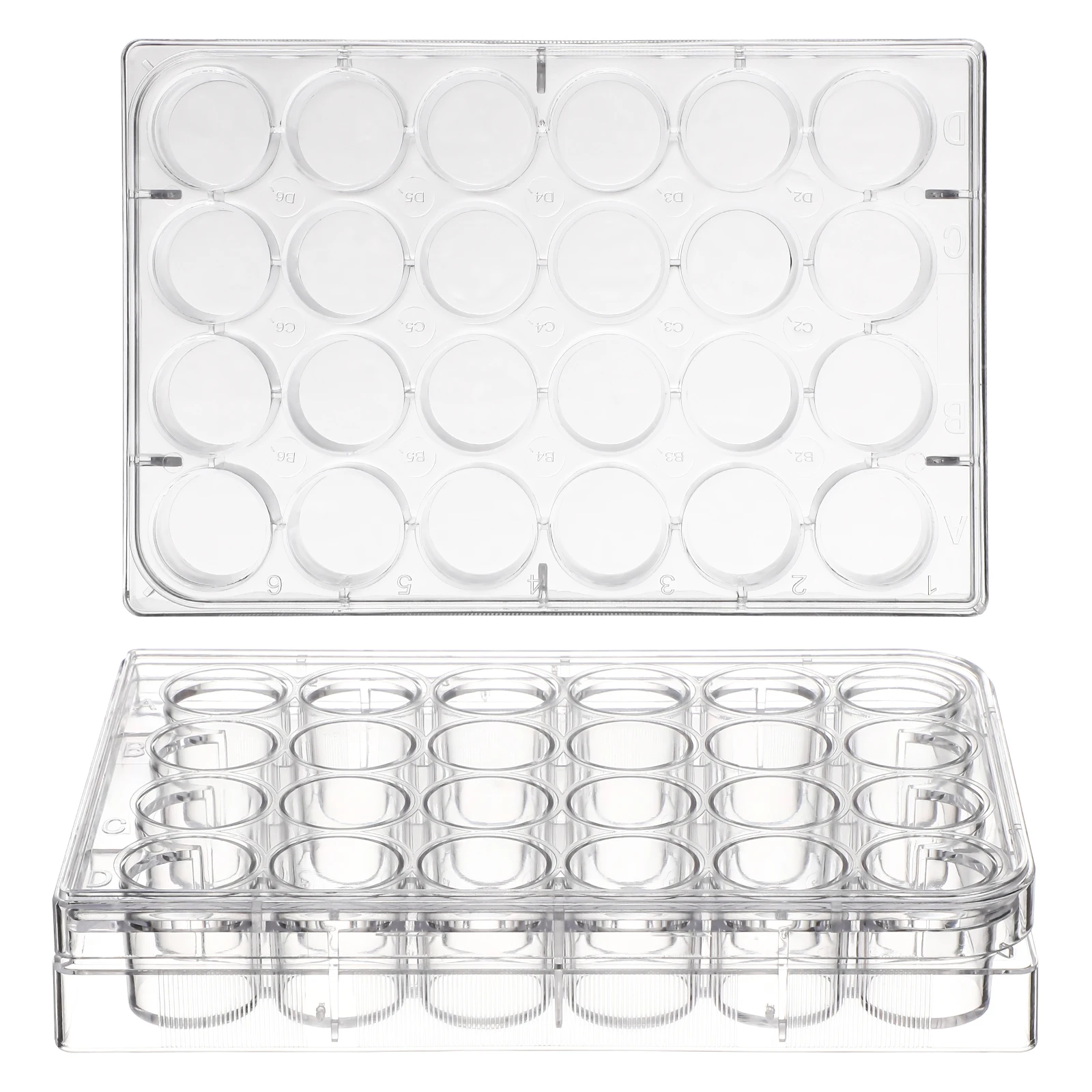 

24 Well Plastic Sterile Medical Culture Plastic Culture Plate For Grade Disposable Lab Plate For Cell Growth 24