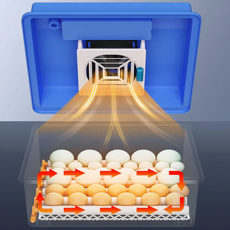 حاضنة الدجاج حمامة حاضنة البيض الصغيرة الذكية حاضنة صغيرة المنزلية التلقائي بطة وحاضنة أوزة
