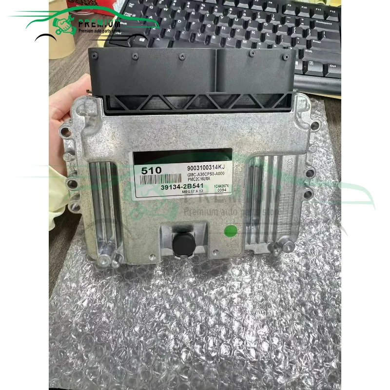 Brand New 510 ECU 39134-2B541 Car Engine Computer Board ECU Electronic Control Unit Fits For KIA  391342B541