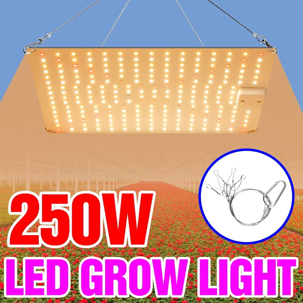 

250 Вт светодиодный светильник полного спектра для выращивания растений, квантовая доска, УФ-заполняющая лампа для комнатной теплицы, палатка, сочный кактус, гидропоника, освещение