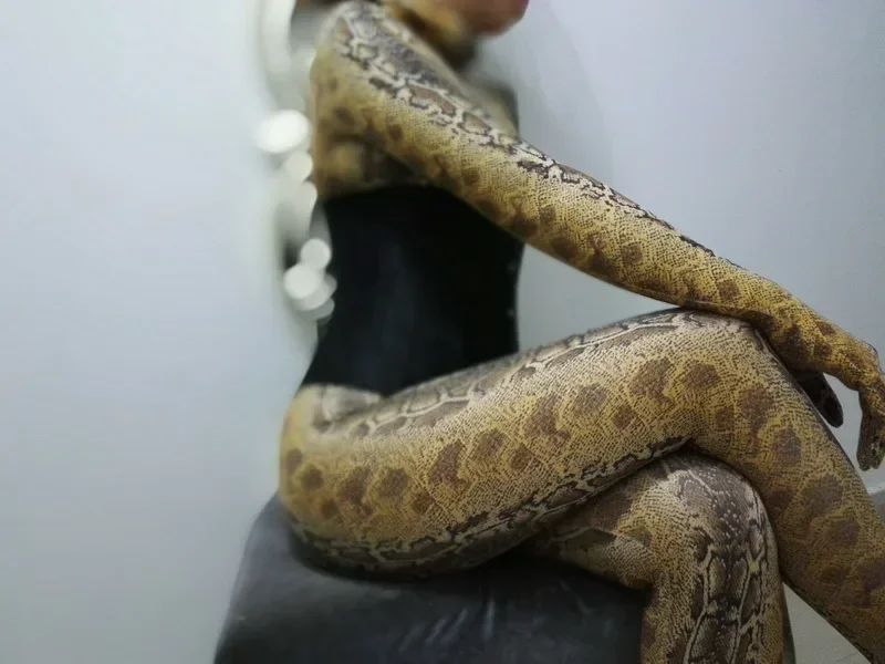 

Customized Cool Yellow Dastarcus Snake Tights Second Skin Suit Jumpsuit Fetish Zentai Costume