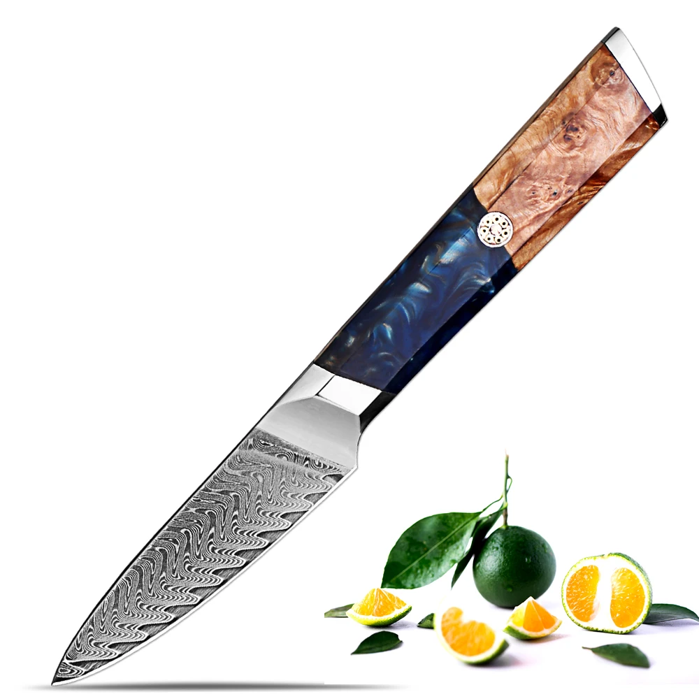 Schälmesser Japanisches Damaskus 3,5 Zoll kleines Küchenmesser, ultrascharfe Gemüsemesser aus Damaststahl, ergonomisches Griffdesign