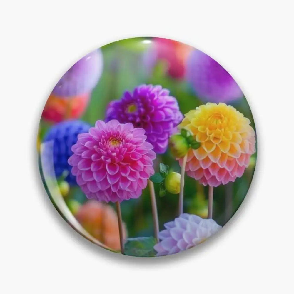 Colorful pretty dahlias in the garden Pin Buttons Brooches  Jewelry Accessory Customize Brooch Fashion Lapel Badges