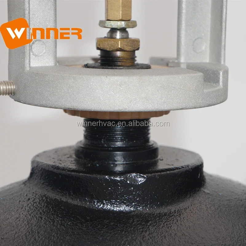 Winner Winvall 2 1/2inch 24VAC Electric Actuator Flange Ball Valve 0~10V Modulating DN65 Globe Valve image 4