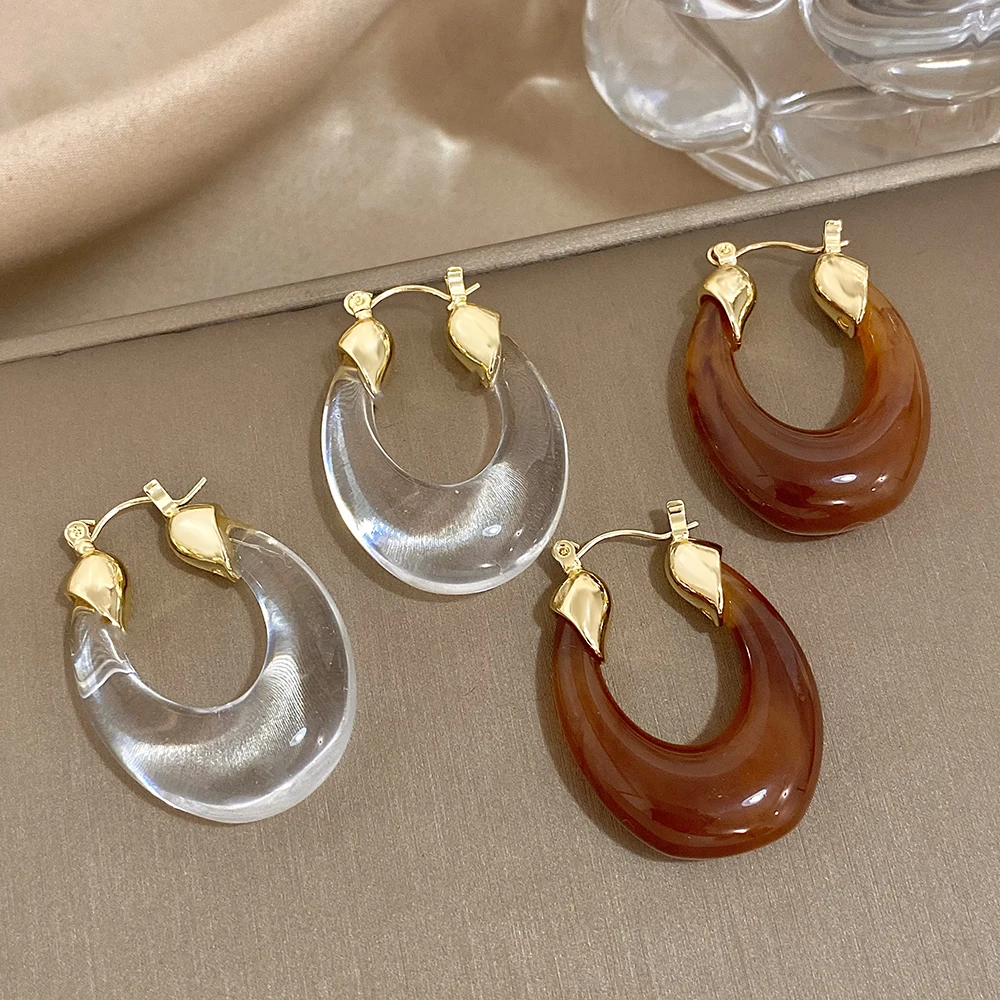 Lifefontier Exaggeration Transparent Brown Oval Acrylic Hoop Earrings For Women Elegant Resin Geometric Earring Party Jewelry