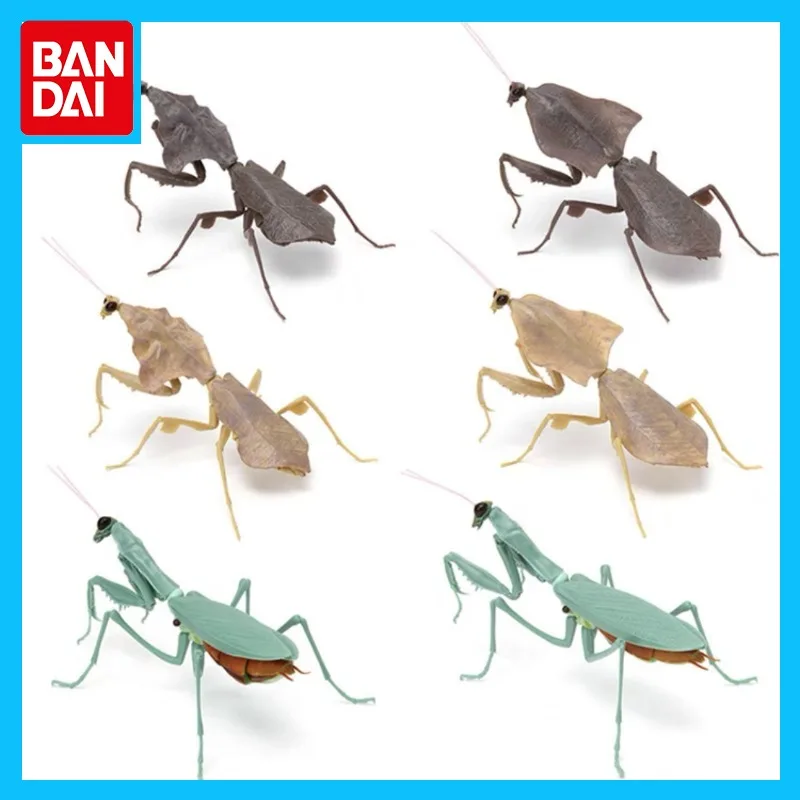 

Bandai оригинальная подвижная модель насекомых Gashapon Mantis 1/2/3, миниатюрные украшения, экшн-фигурки, игрушки для мальчиков и девочек, детский подарок
