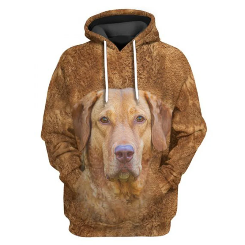 Doberman Pinscher/Chesapeake Bay Retriever/Dalmatian 3D Printed Hoodie Women For Men Pullovers Street Tracksuit Love Dog Gift