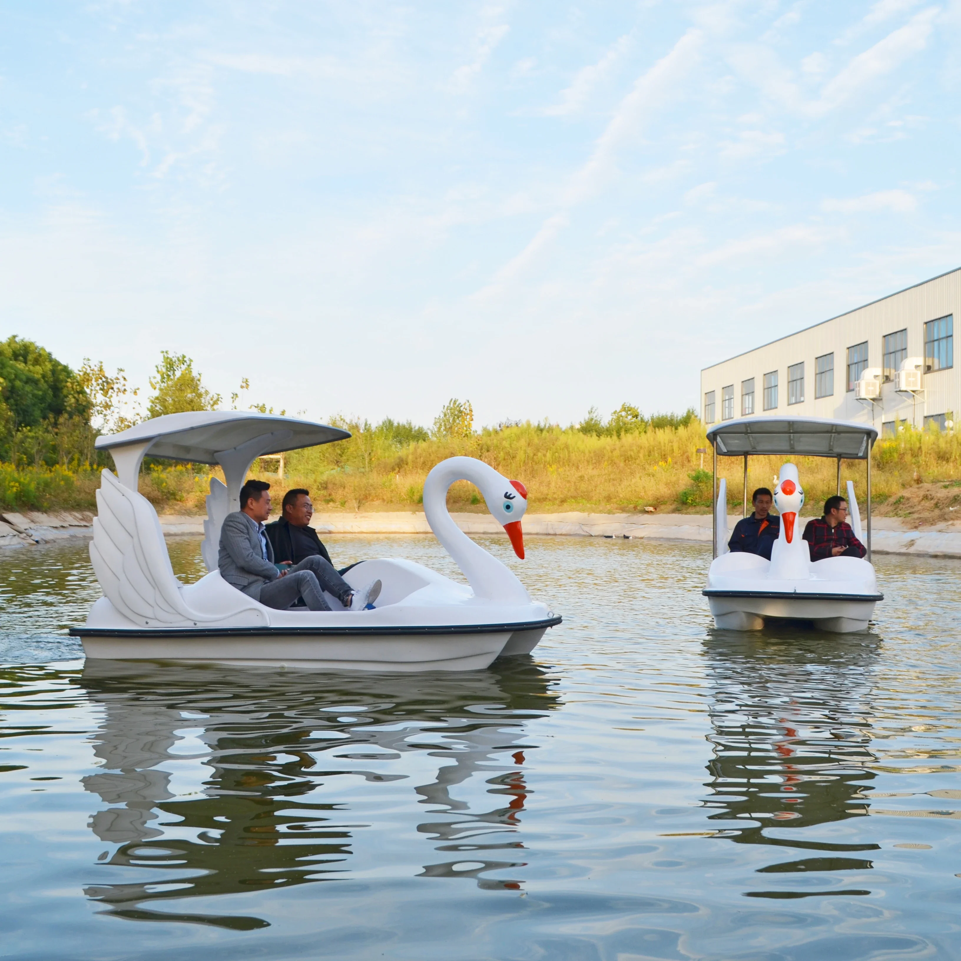 Outdoor 4 Person Paddle Boat Water Pedal Boat For Kids And Adults Swan Boat