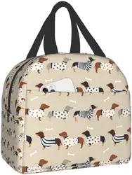 Dachshunds Insulated Tote Lunch Bag for Women & Men, Reusable Portable Thermal Cooler Box for Work Picnic Travel