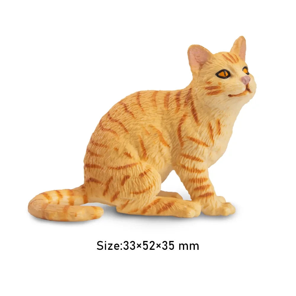 Toymany محاكاة البرتقال Wirehair القط الحيوانات الأليفة نماذج للحيوانات لعبة شخصيات صغيرة دمى عمل التماثيل لعب الأطفال هدية كعكة ديكورا